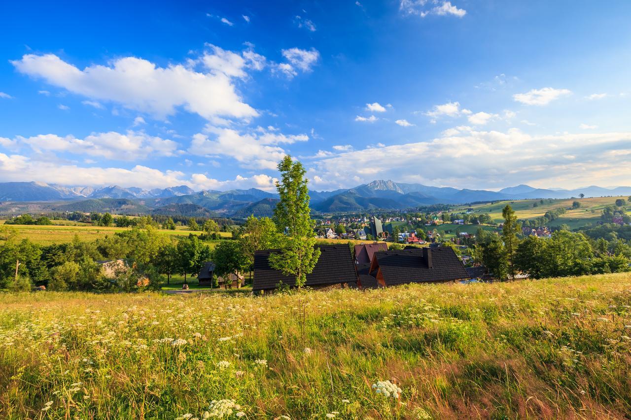 Domki Tatrzanski Ogrod Regional Houses Zakopane Luaran gambar