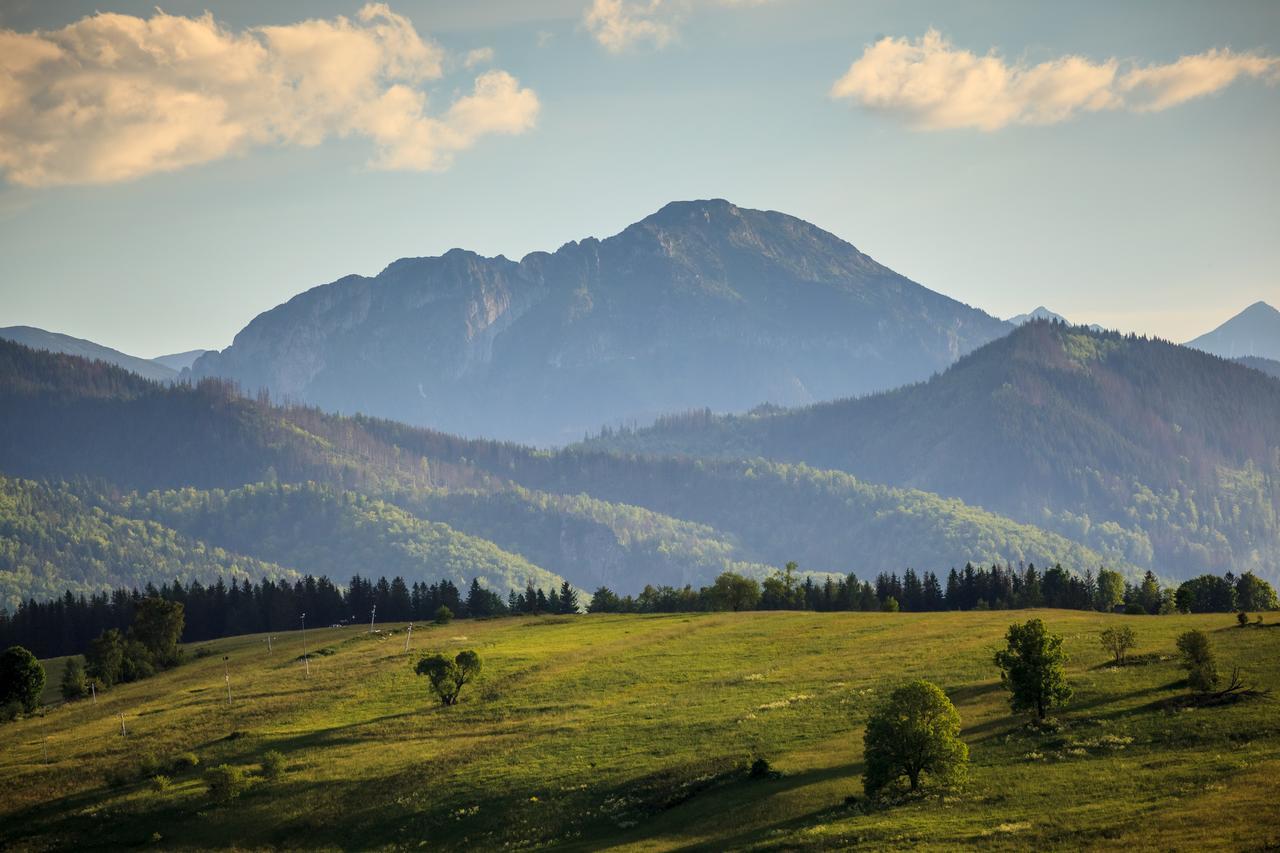 Domki Tatrzanski Ogrod Regional Houses Zakopane Luaran gambar